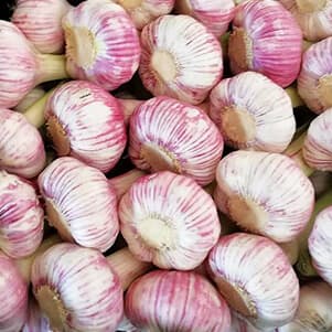 تصویر 4 از خرید و قیمت انواع سیر درجه 1